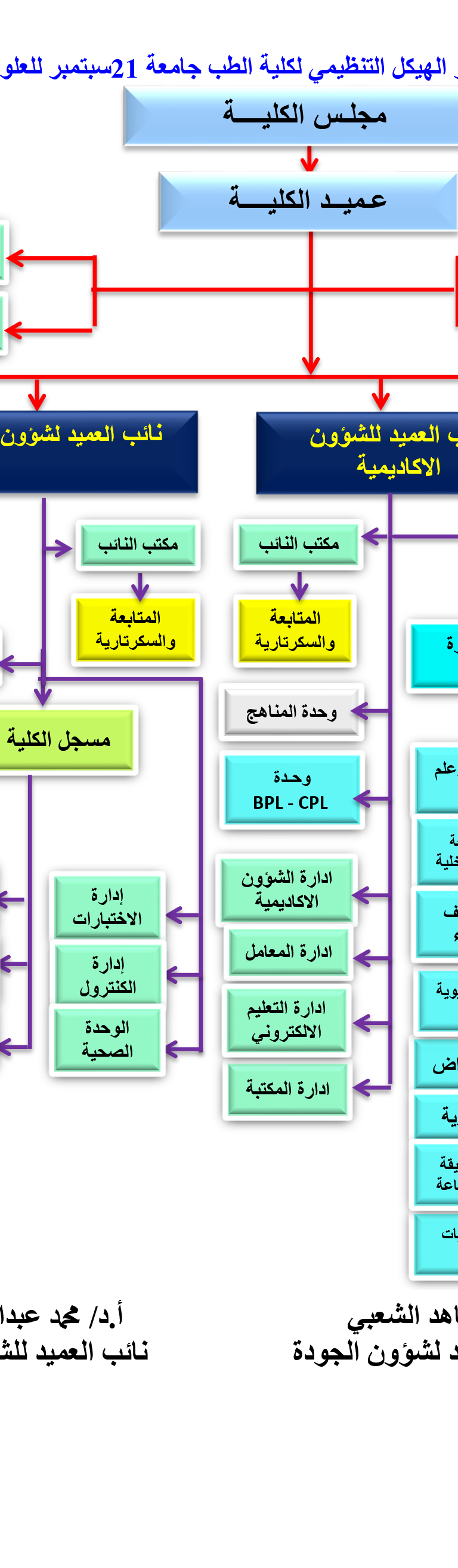 الهيكل التنظيمي لكلية الطب
