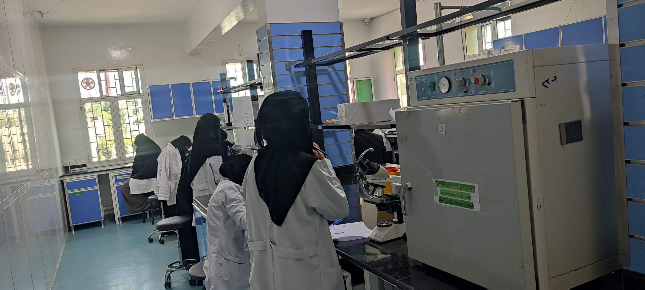 استزراع البكتيريا