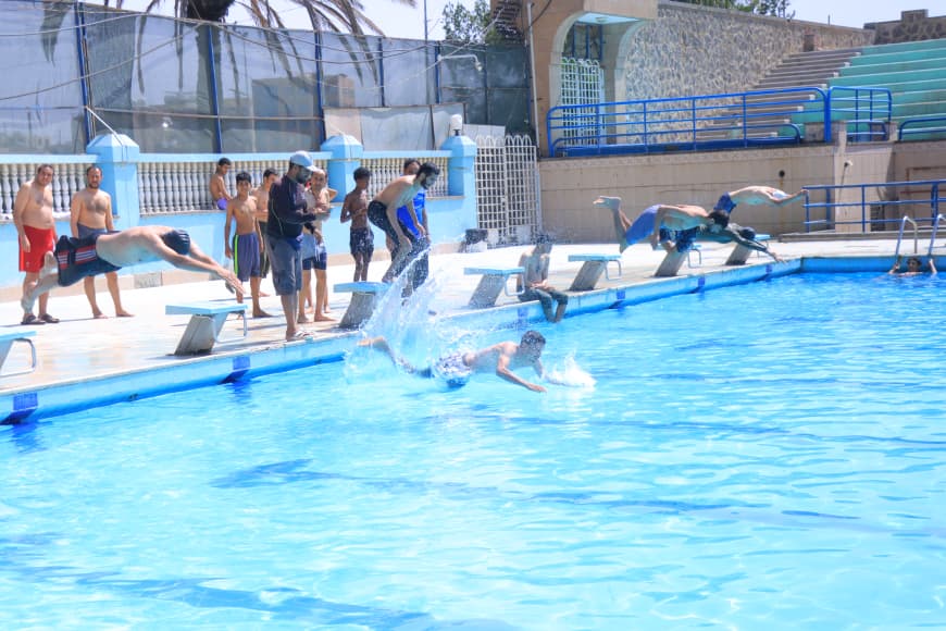 Several swimmers dive into a bright blue pool from starting blocks as spectators watch from the pool deck.