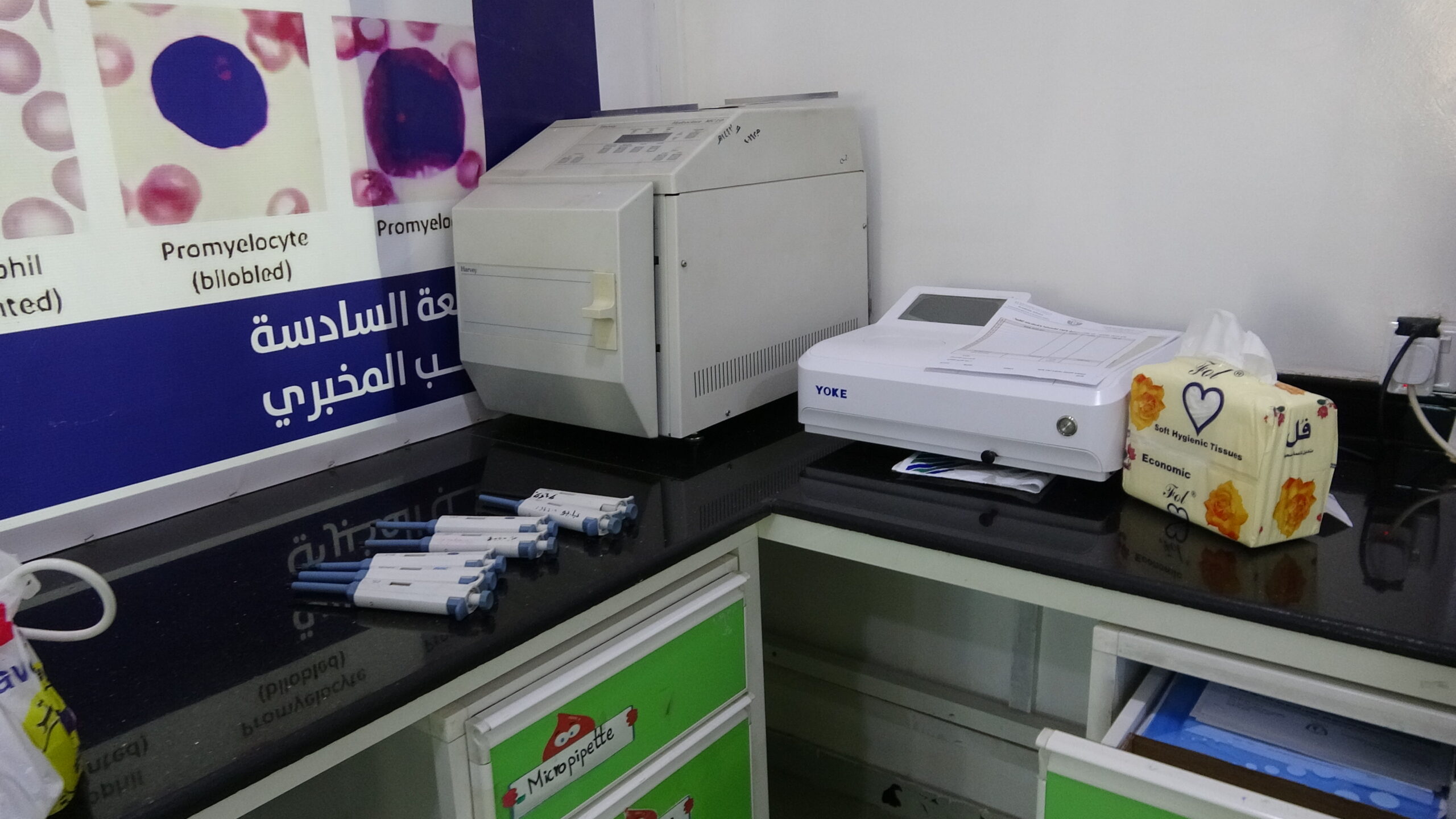 معمل الدم 5